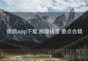 电鸽app下载 故障排查 要点合辑