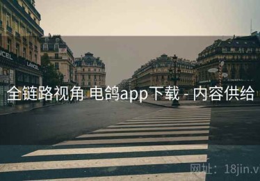 全链路视角 电鸽app下载 - 内容供给