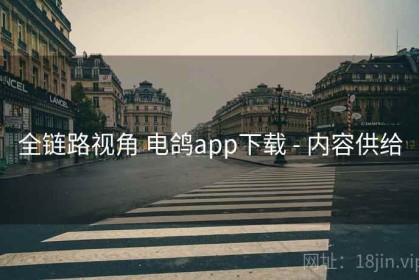 全链路视角 电鸽app下载 - 内容供给