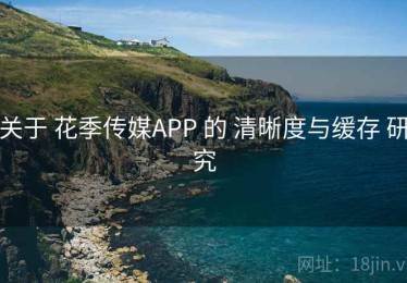 关于 花季传媒APP 的 清晰度与缓存 研究