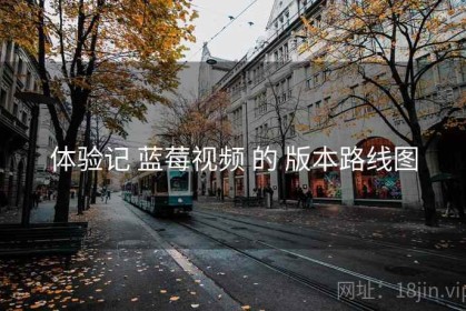 体验记 蓝莓视频 的 版本路线图
