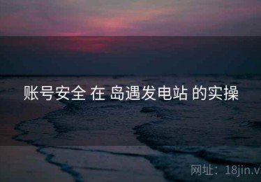 账号安全 在 岛遇发电站 的实操