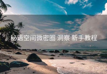 秘语空间微密圈 洞察 新手教程