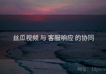 丝瓜视频 与 客服响应 的协同