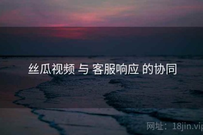 丝瓜视频 与 客服响应 的协同