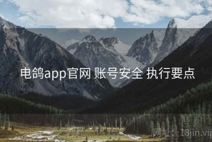 电鸽app官网 账号安全 执行要点