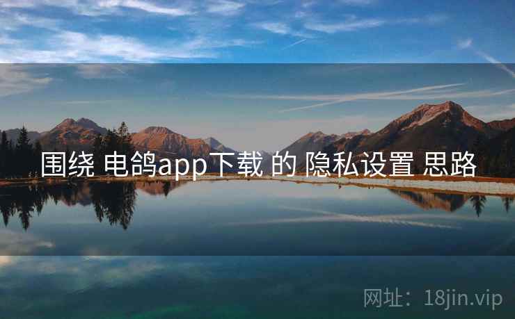 围绕 电鸽app下载 的 隐私设置 思路