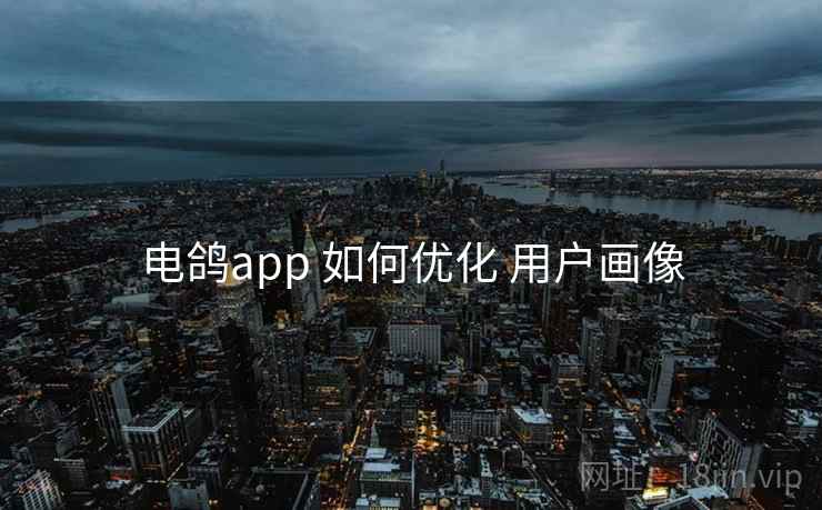 电鸽app 如何优化 用户画像 电鸽app 如何优化 用户画像